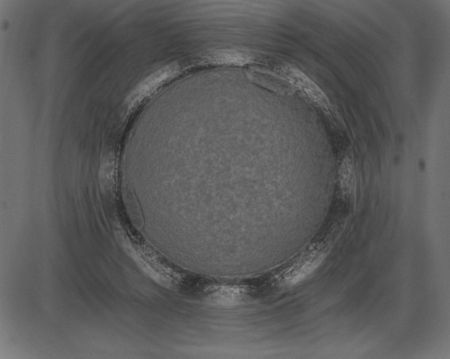 X0000086110352200704091424