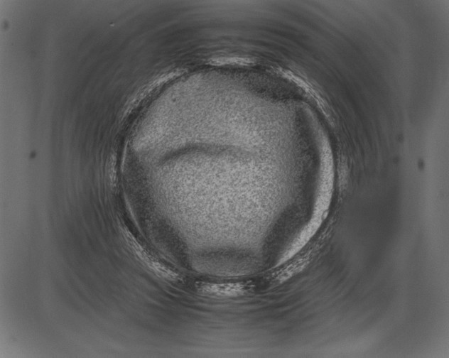 X0000086110353200704091424