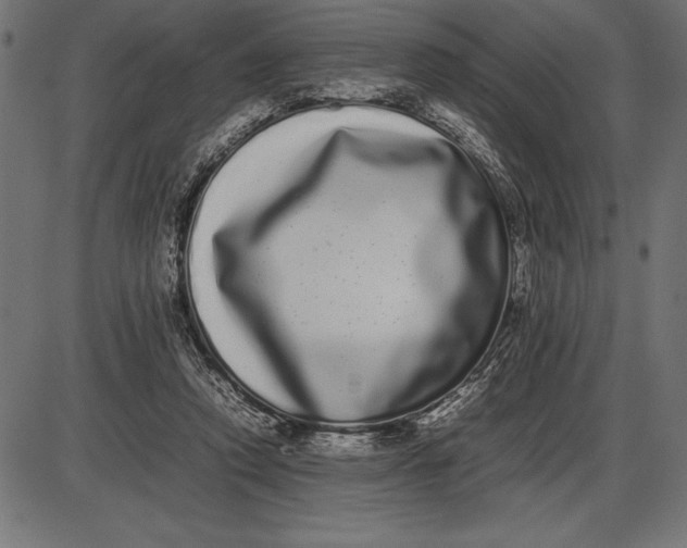 X0000086110354200704091424