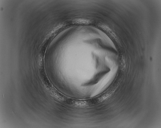 X0000086110355200704091424