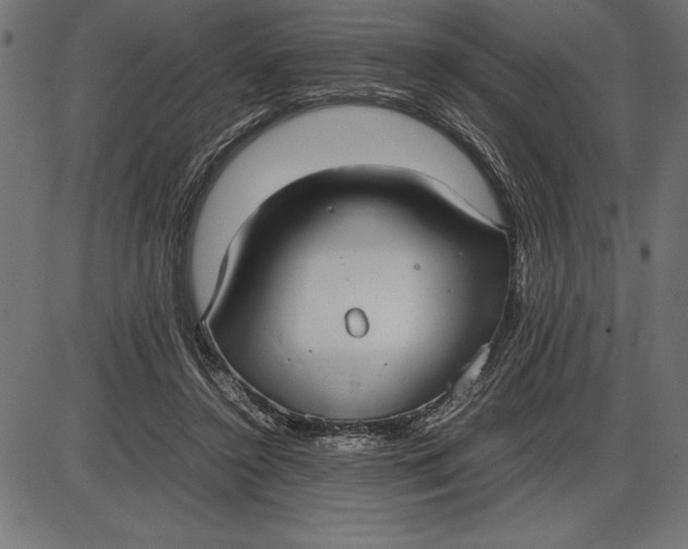 X0000086110356200704091424