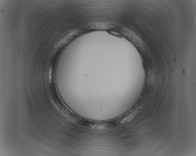 X0000086110358200704091424