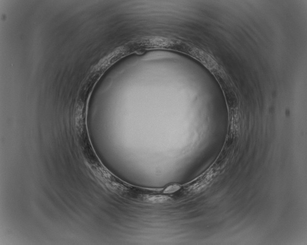 X0000086110360200704091424