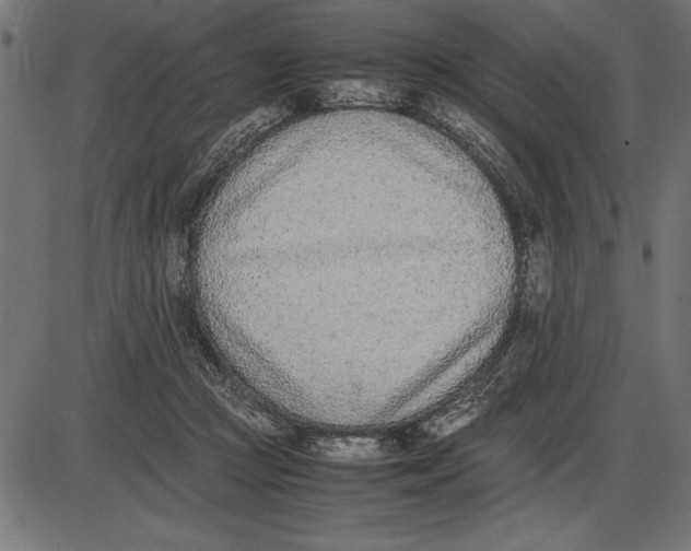 X0000086110361200704091424