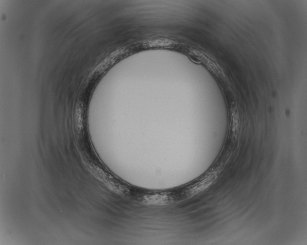 X0000086110362200704091424