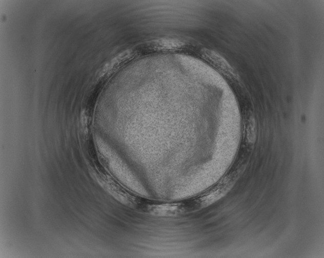 X0000086110366200704091424