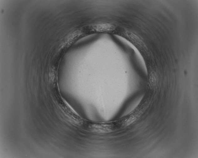 X0000086110367200704091424