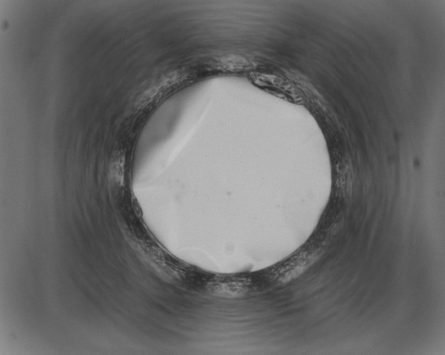 X0000086110368200704091424