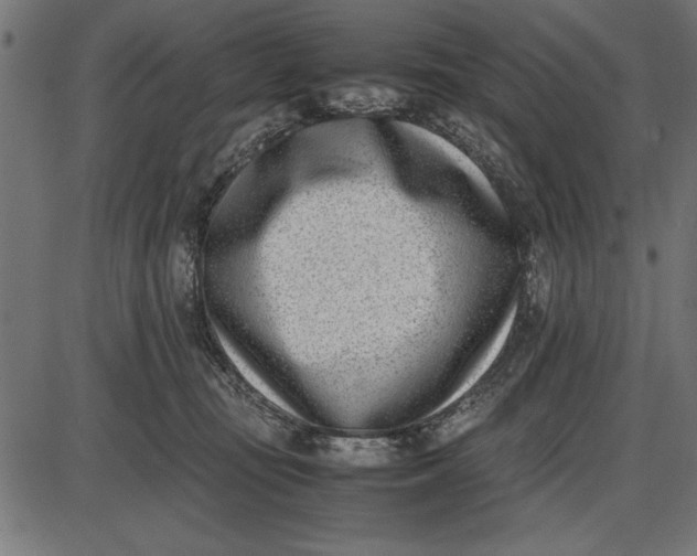 X0000086110371200704091424