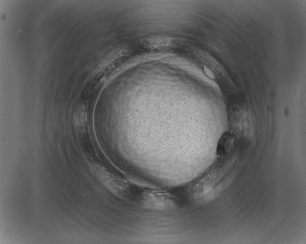 X0000086110372200704091424