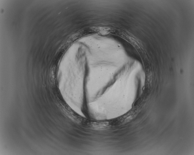 X0000086110373200704091424