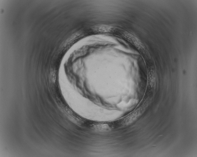 X0000086110374200704091424