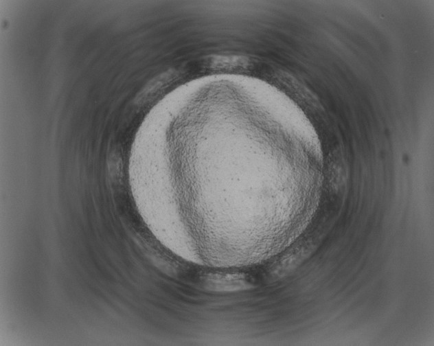 X0000086110375200704091424