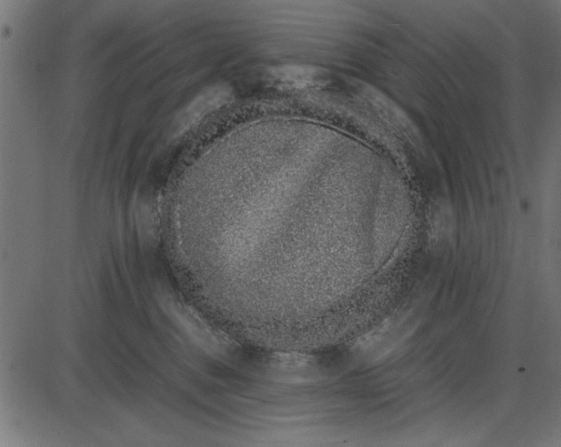 X0000086110376200704091424