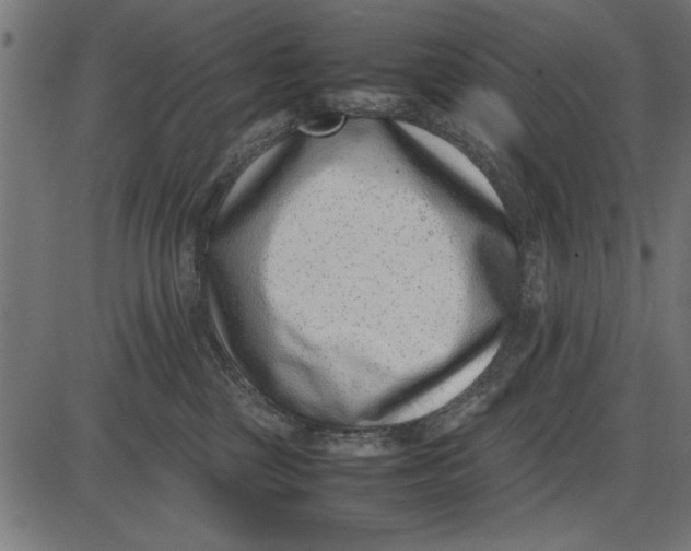 X0000086110377200704091424