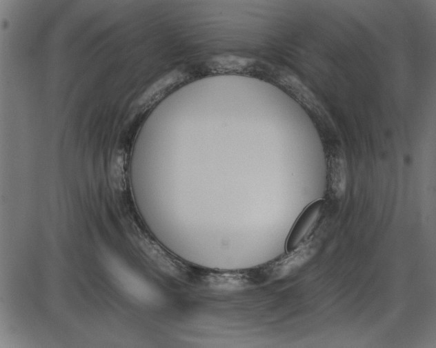 X0000086110378200704091425