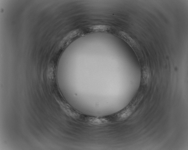 X0000086110379200704091425