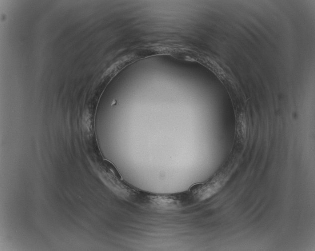 X0000086110380200704091425