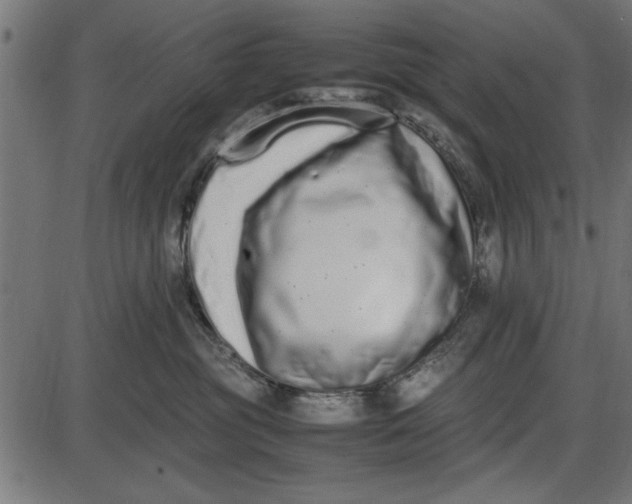 X0000086110381200704091425