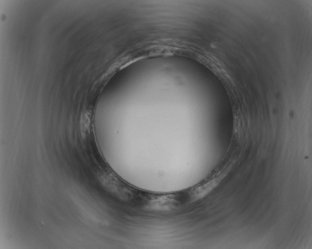 X0000086110382200704091425