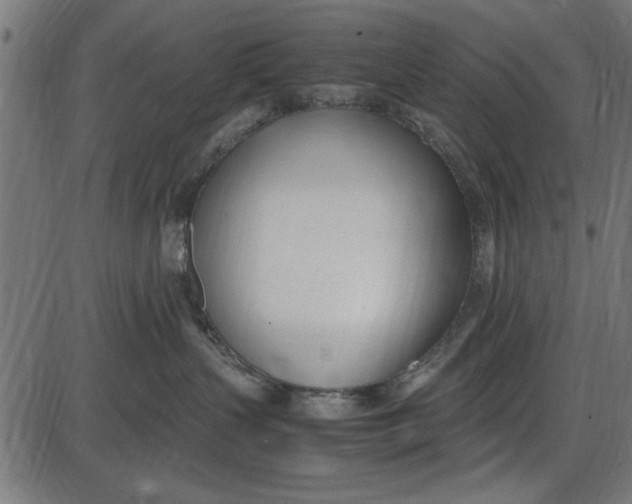 X0000086110383200704091425