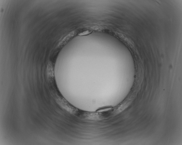 X0000086110384200704091425