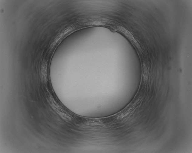 X0000086110386200704091424