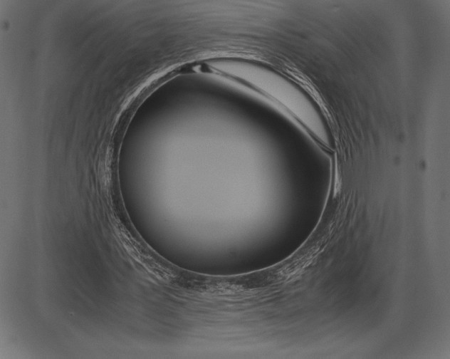 X0000086110387200704091424