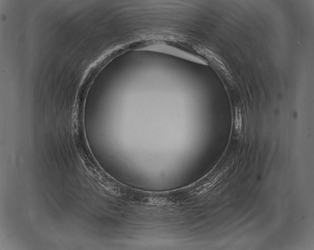 X0000086110388200704091424