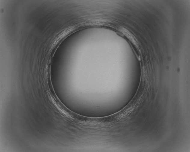 X0000086110389200704091424