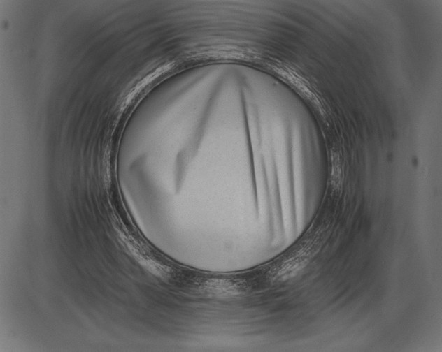 X0000086110390200704091424