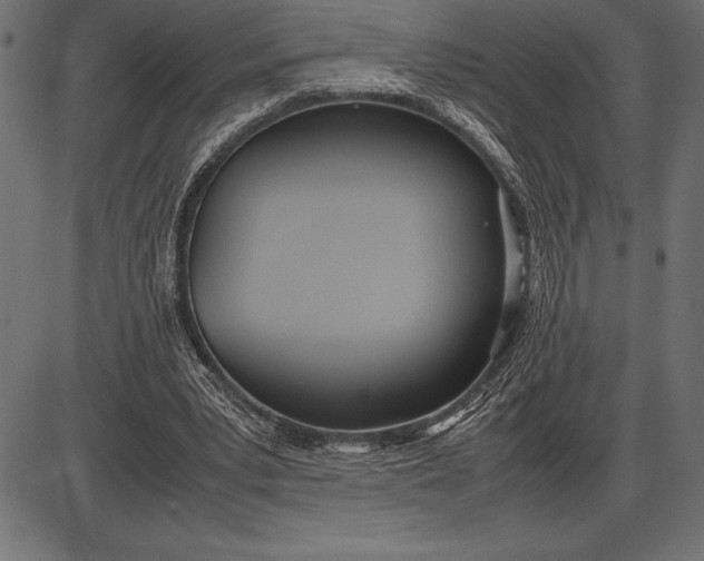 X0000086110391200704091424