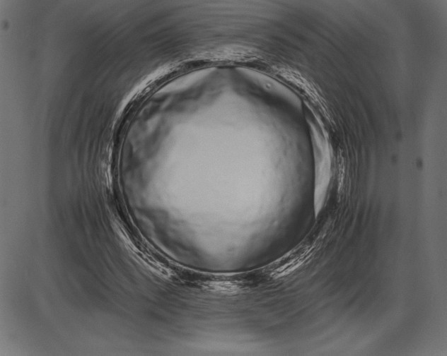 X0000086110392200704091424