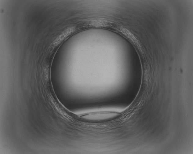 X0000086110393200704091424