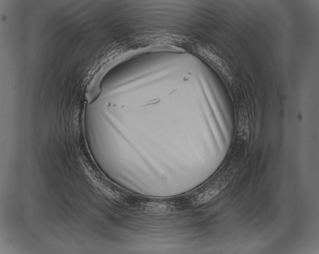 X0000086110394200704091424