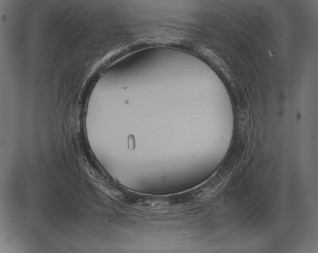 X0000086110395200704091424