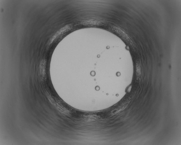 X0000086110396200704091424