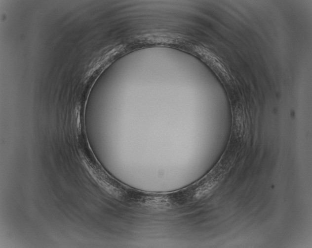 X0000086110398200704091424