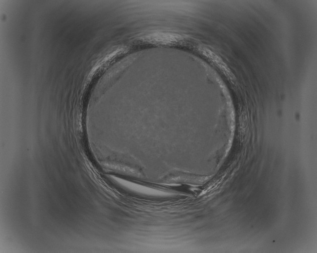 X0000086110399200704091424