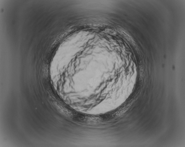 X0000086110401200704091424