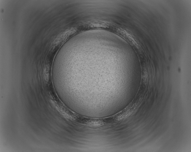 X0000086110402200704091424