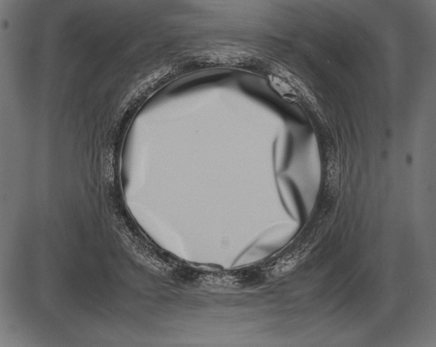 X0000086110403200704091423