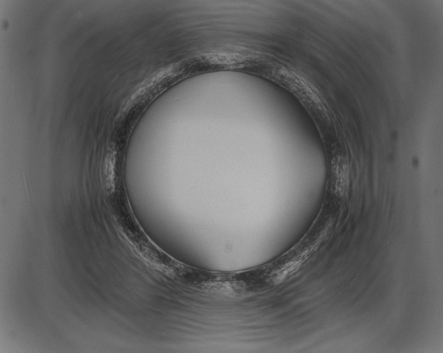 X0000086110404200704091423