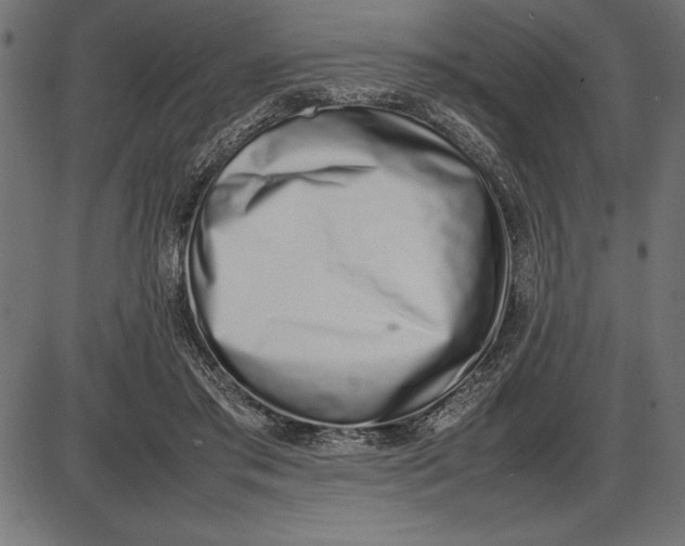 X0000086110405200704091423