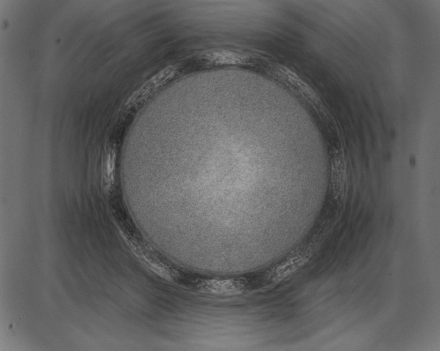 X0000086110406200704091423