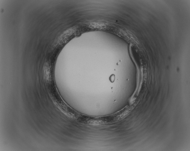 X0000086110408200704091423