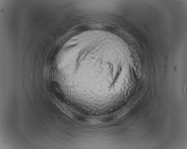 X0000086110409200704091423