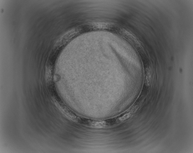 X0000086110410200704091423