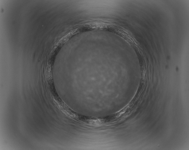 X0000086110411200704091423