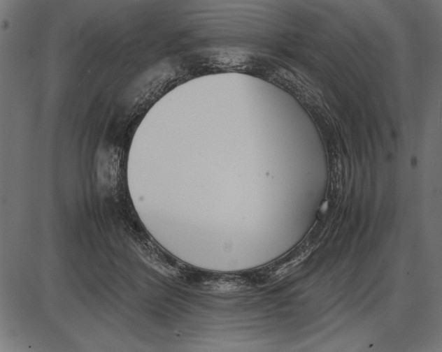 X0000086110412200704091423